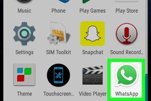 Ultimate Guide to Deleting All Media on WhatsApp: Photos, Videos, and Chats
