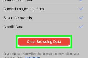 Comprehensive Guide on How to Delete Your Browsing History in Google Chrome