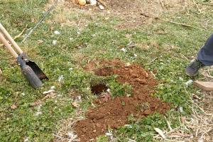 Essential Guide: How to Dig Post Holes Effortlessly