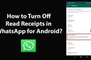 Ultimate Guide: How to Disable "Message Seen" Read Receipts on WhatsApp