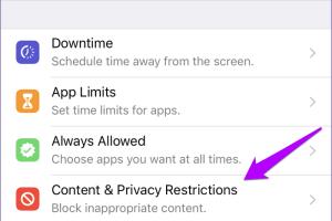 Ultimate Guide to Disabling Private Browsing in Safari on iPhone/iPad