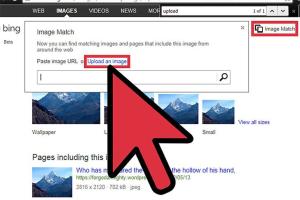 Mastering Bing: A Comprehensive Guide to Image Search