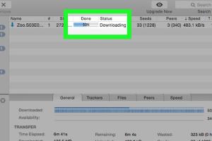 Ultimate Guide to Downloading and Playing Torrents Safely and Effectively