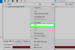 Ultimate Guide to Downloading Movies Online Using Bittorrent Software