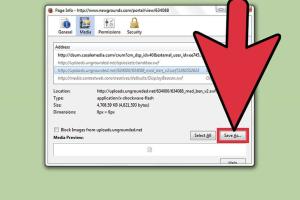 Ultimate Guide on How to Download SWF Files Easily
