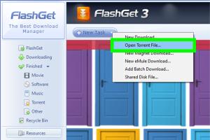 Ultimate Guide to Downloading Torrents Directly with a Download Manager