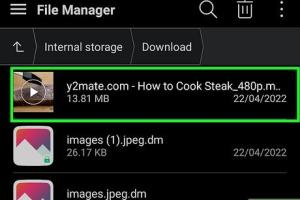 Ultimate Guide: Download YouTube Videos on Opera Mini Browser (Mobile)