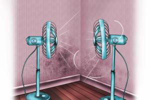 Ultimate Guide on How to Effectively Dry Damp Walls and Prevent Mold
