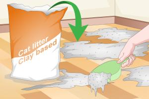 Ultimate Guide on How to Effectively Dry Water Under Wood Floor