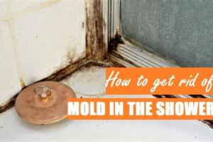 Ultimate Guide: How to Easily Get Rid of Mold in Your Bathroom and Shower