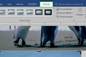 Mastering Picture and Object Editing in MS Office: A Comprehensive Guide