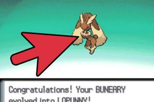 Ultimate Guide to Evolving Buneary in Pokémon Diamond and Pearl