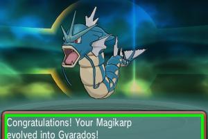 Mastering Magikarp: Your Ultimate Guide to Evolving Magikarp in Any Pokémon Game