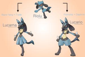 Mastering the Evolution of Riolu: A Comprehensive Guide