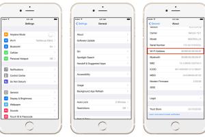 Mastering Your iPhone: A Complete Guide on How to Find a Mac Address