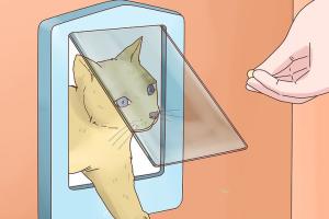 Ultimate Guide to Fitting a Cat Flap: Step-by-Step Instructions