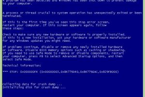 Ultimate Guide on How to Force a Blue Screen in Windows