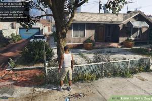 Ultimate Guide: How to Get a Dog in GTA V for Ultimate Gameplay