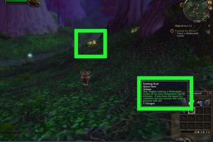 Ultimate Guide to Acquiring Pets in World of Warcraft
