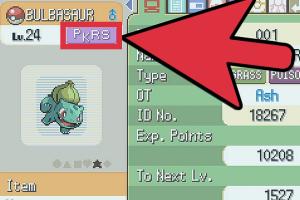 Mastering Pokerus: How to Acquire and Share This Rare Pokémon Boost