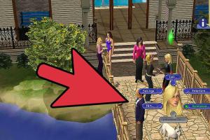 Ultimate Guide to Getting Your Child or Teen Into Private School in Sims 2