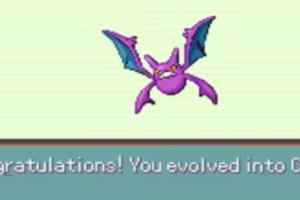 Ultimate Guide to Catching Crobat in Pokémon Emerald