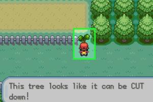Mastering the Art of Getting Cut in Pokémon Emerald: A Comprehensive Guide