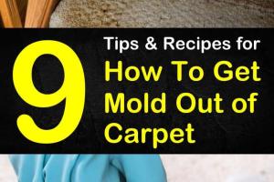 Effective Strategies to Remove Mold from Your Carpet at Home
