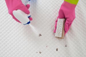 Ultimate Guide to Removing Bed Bug Stains: Tips, Tricks, and Techniques
