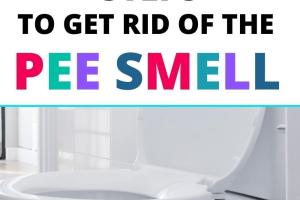 Ultimate Guide: How to Effectively Get Rid of Urine Smell in Your Home