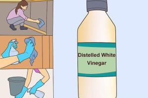 Ultimate Guide on How to Get Smoke Smell Out of Your House Effectively