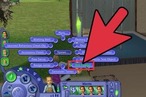 How to Get Teenage Sims Pregnant in The Sims 2: A Complete Guide