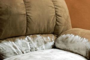 Effective Techniques to Eliminate Vomit Smell from Your Couch