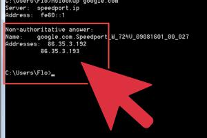 Unlocking the Command Prompt: How to Get Website Information with Ease