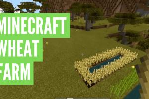 Mastering Wheat Cultivation in Minecraft: A Comprehensive Guide
