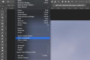 Mastering Photoshop: The Ultimate Guide to Inserting Images Like a Pro