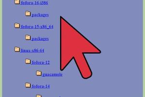 Mastering RPM Packages: A Comprehensive Guide to Installation and Removal