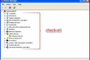 Step-by-Step Guide: How to Install Windows Using a CD with Ease