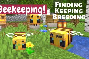 Ultimate Guide on How to Keep Bees in Minecraft: Tips & Tricks for Beekeeping