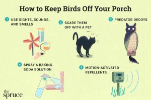 10 Effective Strategies to Keep Birds Off Your Porch: A Comprehensive Guide