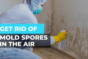 Ultimate Guide to Killing Mold Spores in the Air and Preventing Mold Growth