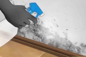 Eliminate Mold Naturally: A Comprehensive Guide to Killing Mold with Vinegar