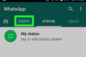 Unveiling the Truth: How to Know if Someone Deleted You on WhatsApp for Android