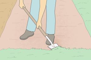 Ultimate Guide to Leveling Dirt: Techniques, Tools, and Tips for Perfect Terrain