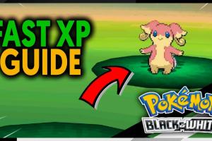 Mastering Pokémon Leveling: Strategies for Pokémon Black and White