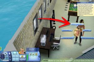 Mastering Teenage Independence in The Sims 3: A Comprehensive Guide