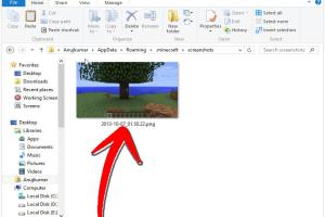 Unlocking Your Minecraft Memories: A Comprehensive Guide to Viewing and Managing Screenshots