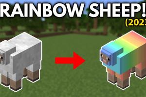 Crafting Color: A Comprehensive Guide to Creating a Rainbow Sheep in Minecraft