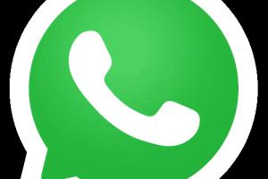 Mastering GIFs in WhatsApp: 2 Easy Ways to Create GIFs on Android and iPhone