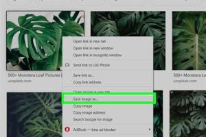 Transform Any Picture into Stunning Wallpaper for Your Computer or Phone